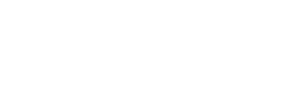 Q&A